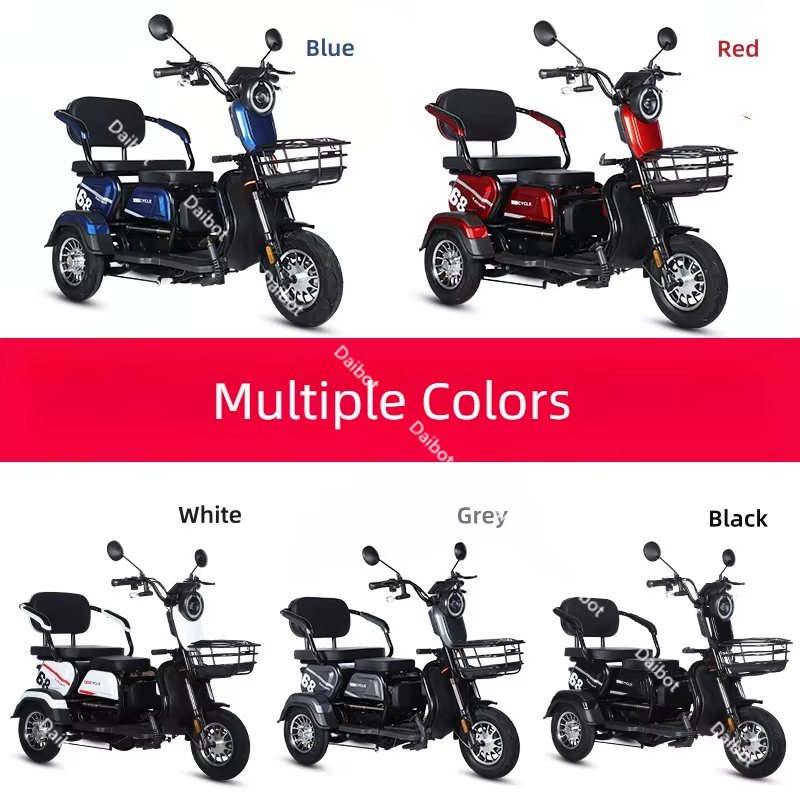 Tricycle électrique adulte Senior avec siège passager 600W 48V 20AH famille tout Terrain Scooter