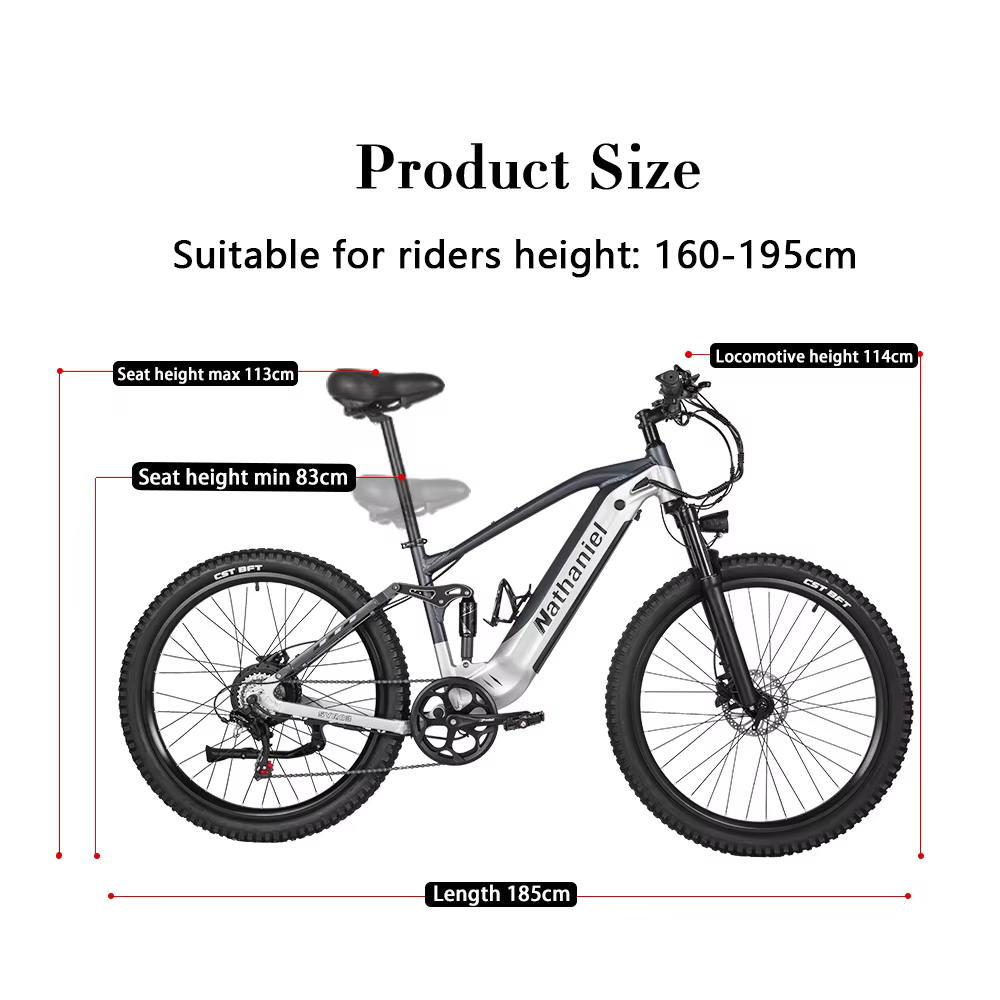 Vélo électrique 1000W 48V 20AH