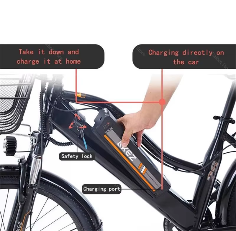 Vélo électrique adulte 2 places 26 pouces 350W 36V