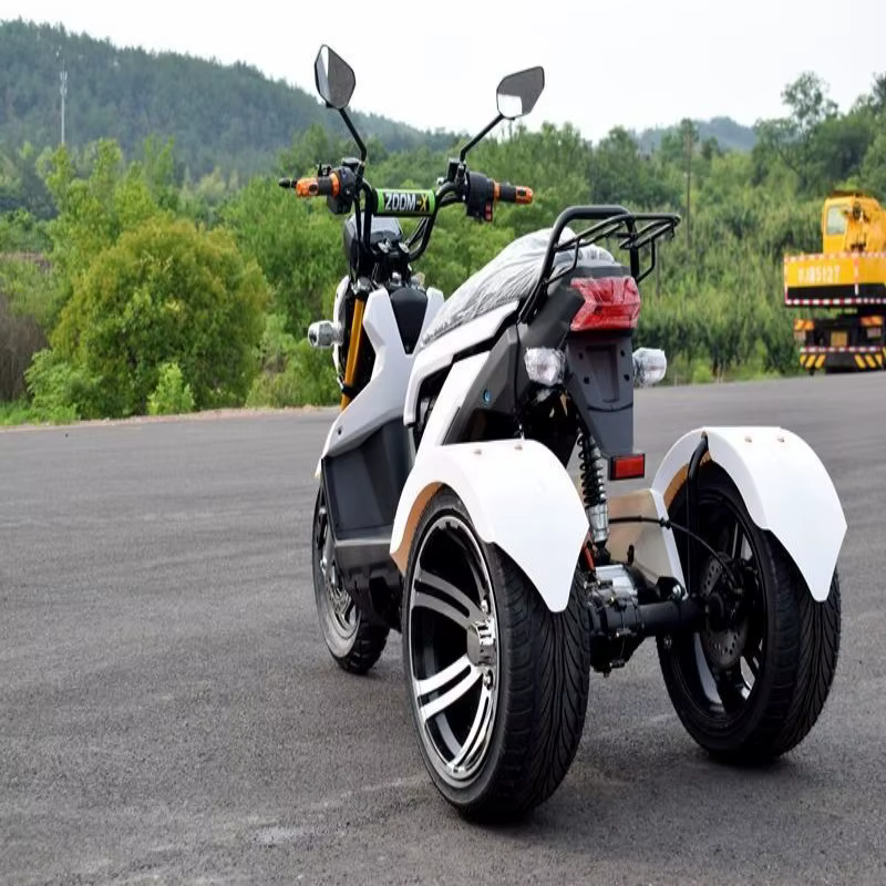 Tricycle électrique tout-terrain pour adultes