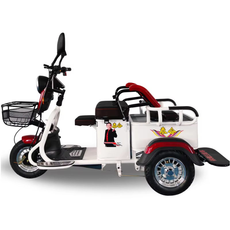 Tricycle électrique à 3 roues pour adultes