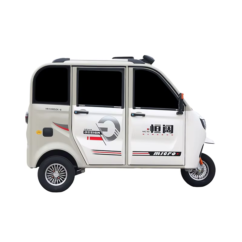 Nouveau tricycle électrique adulte à vendre