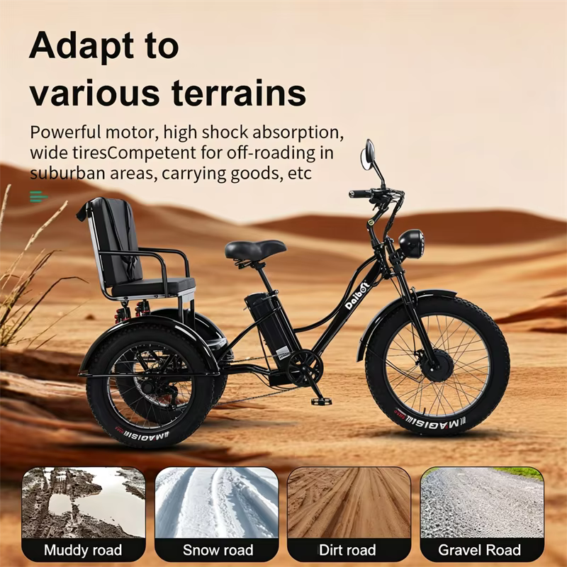 Nouveau Tricycle électrique à 3 roues vélo Cargo avec passagers personnes âgées adultes 2 places 750W puissant