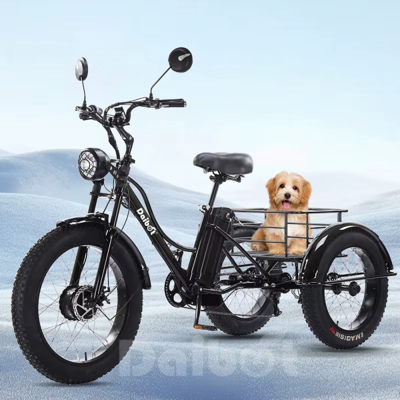 Vélo électrique adulte gros pneu montagne pour homme 48V 750W Tricycle