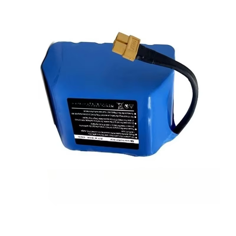 Batterie Li-ion rechargeable 6S2P 25