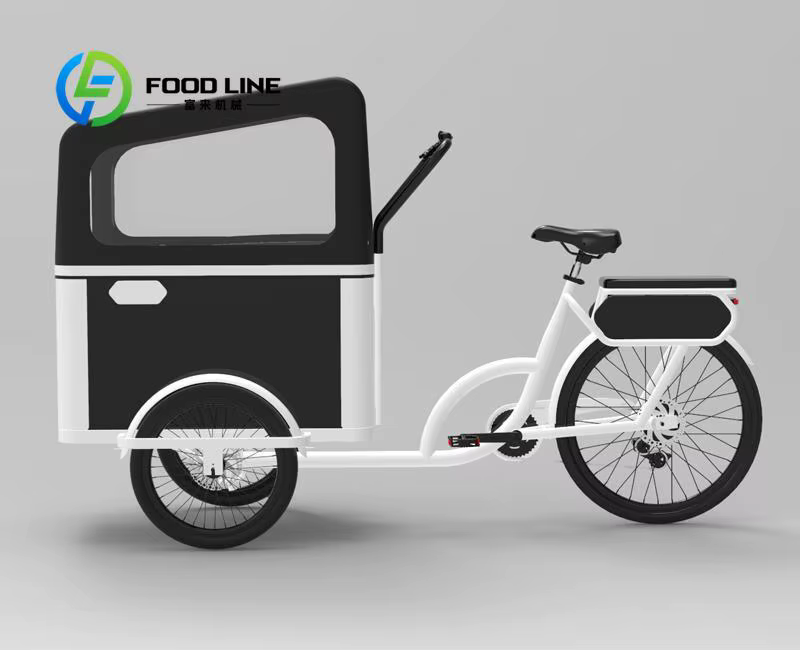 Vélo cargo à pédale électrique à 3 roues avec moteur arrière pour transporter des vélos électriques pour animaux de compagnie