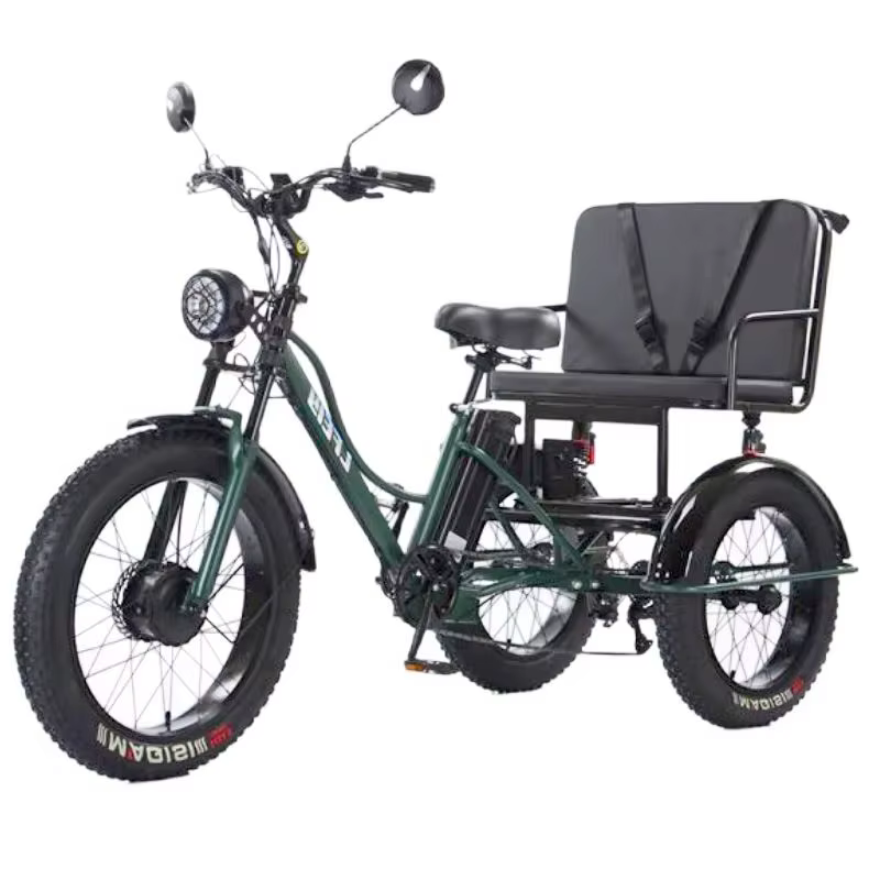 Nouveau Tricycle électrique à 3 roues vélo Cargo avec passagers personnes âgées adultes 2 places 750W puissant