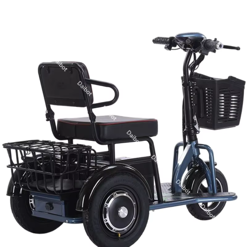 Tricycle électrique à double moteur