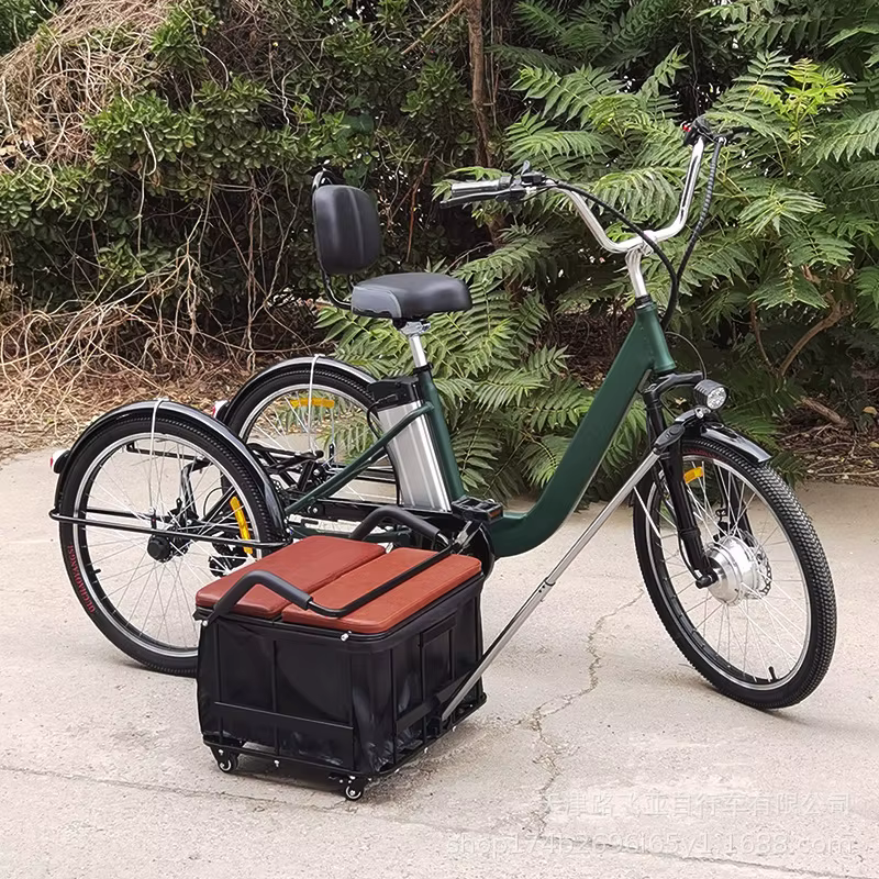 Tricycle électrique pour adultes de 24 pouces