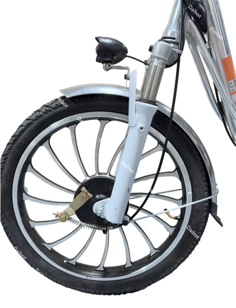 Vélo électrique à 2 roues VTT pour adultes les déplacements pour 2 personnes femmes batterie de ville