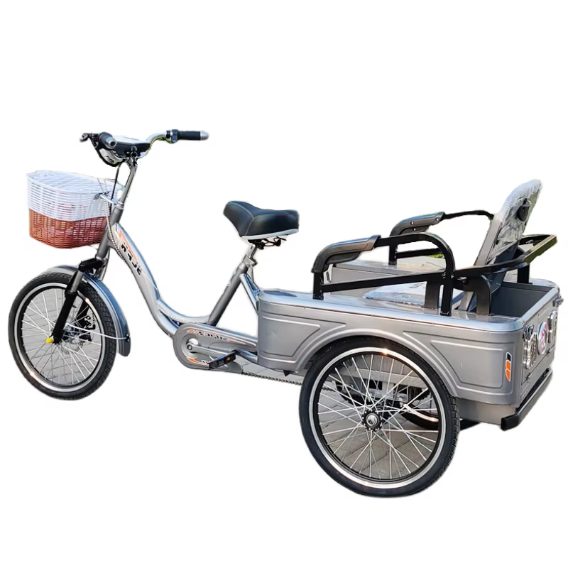 Tricycle Électrique avec Siège Passager pour Adulte