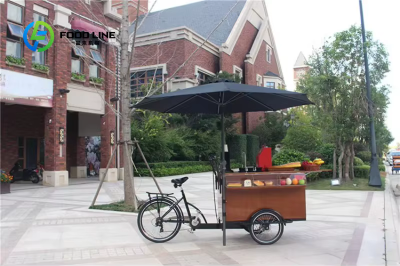 Vélo Cargo électrique pour adultes