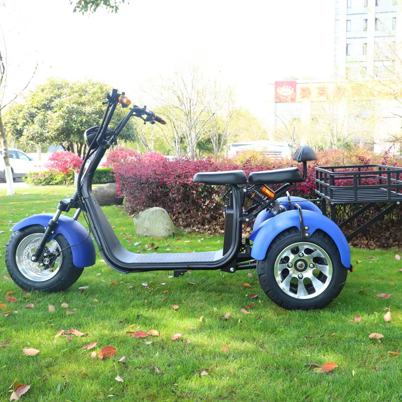 2000W moteur Tricycle électrique neige large pneu adulte déplacements loisirs mobilité Scooter siège confortable panier