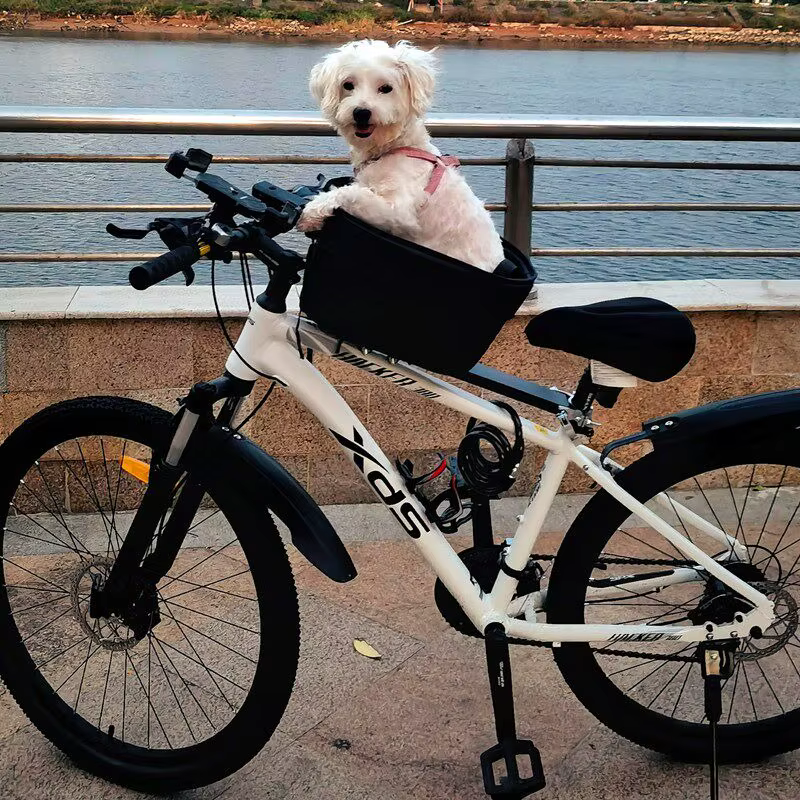 Panier de vélo pliable et détachable pour animaux de compagnie