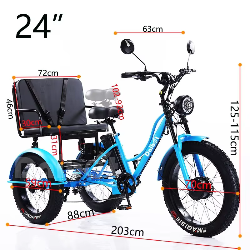 Tricycle électrique Cargo gros vélo pour deux personnes 2 places 750W 48V hors route puissant