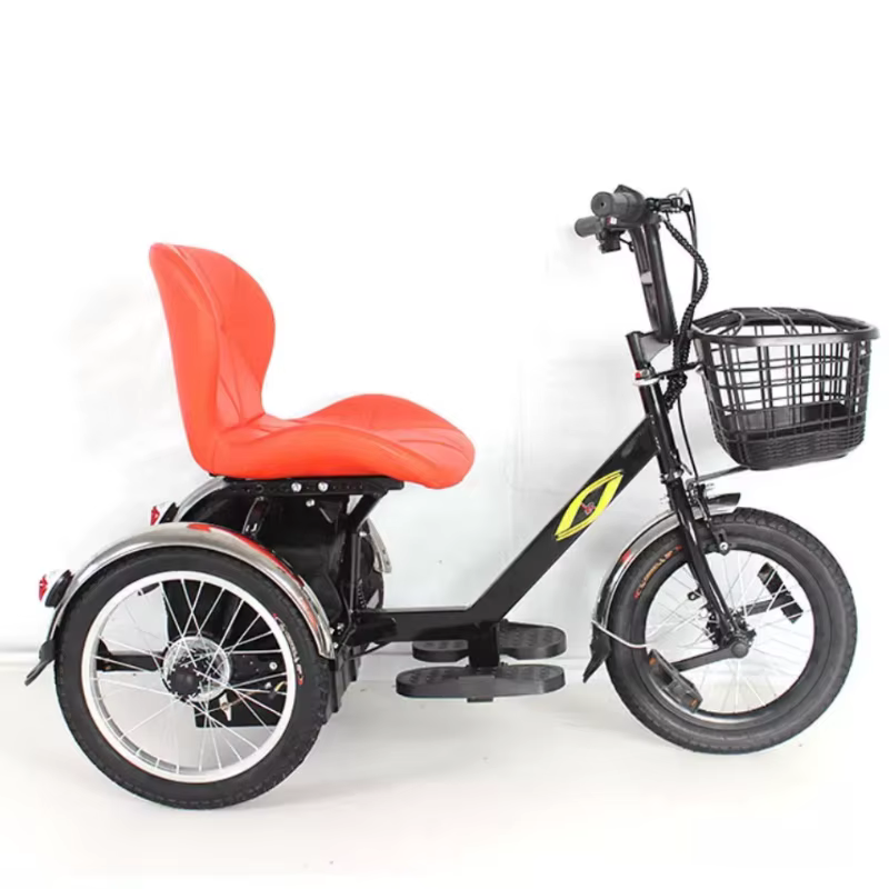 Mini vélo électrique à trois roues 250W 24V