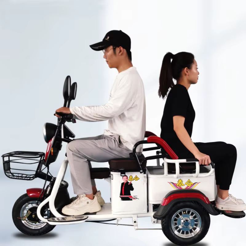 Tricycle électrique à 3 roues pour adultes