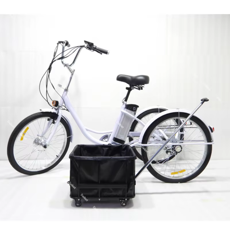 Vélo électrique familial à 3 roues avec Aduts de fret pour enfants