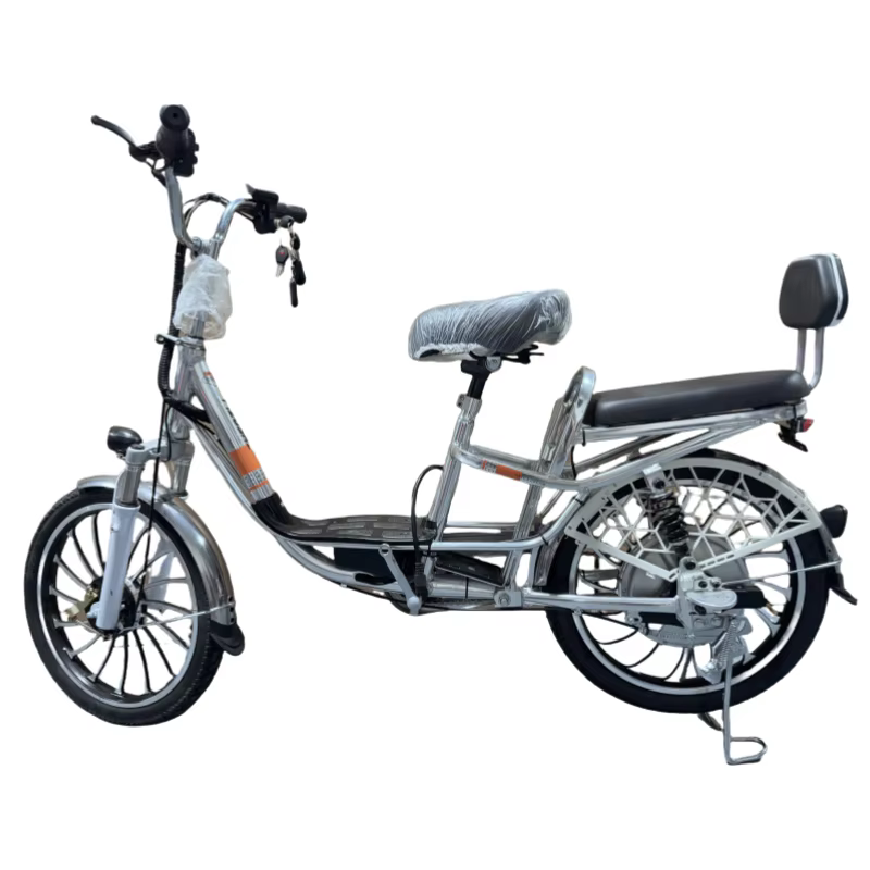 Vélo électrique à 2 roues VTT pour adultes les déplacements pour 2 personnes femmes batterie de ville