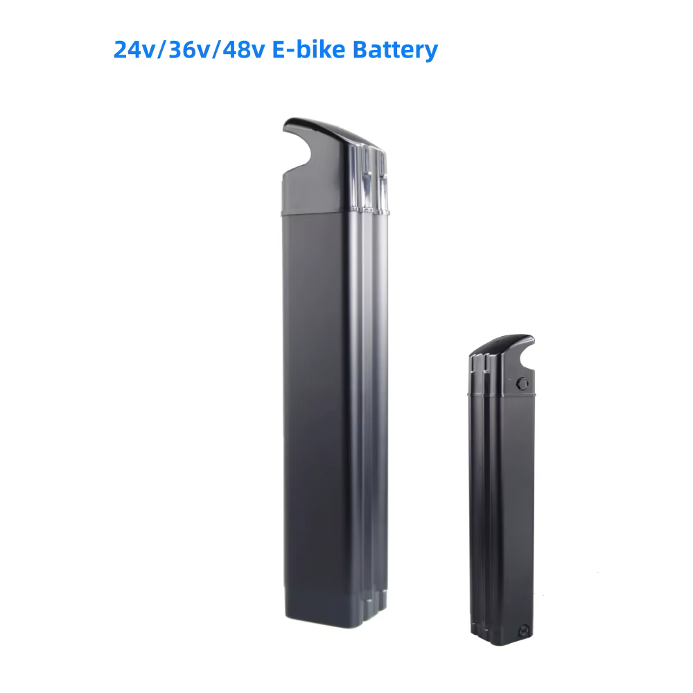 Ecoride Ambassador 26 "AXS H8 batterie de vélo électrique 36V 10.4Ah 10Ah 13Ah 15Ah 16Ah 20Ah