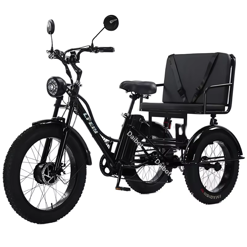 Vélo électrique de montagne à 3 roues 750w