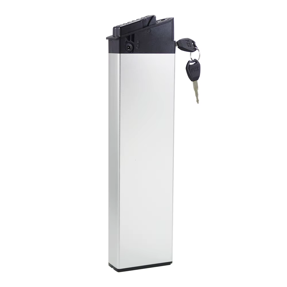 Lectric XP Lite 2.0 batterie Ebike 48V 14Ah 672Wh