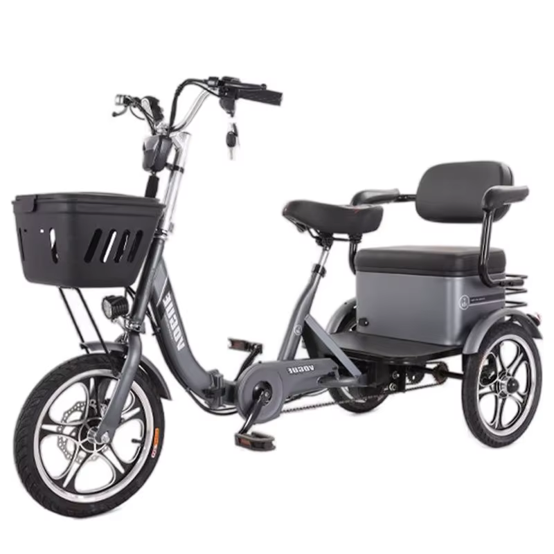 Tricycle Électrique Pliant à 3 Roues pour Deux Adultes