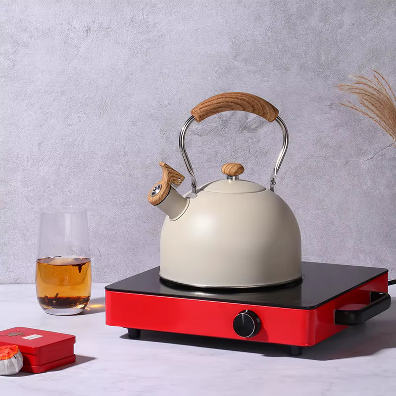 Bouilloire à sifflet en acier inoxydable, pour eau bouillante, théière de Camping, poignée pliante, théières pour faire bouillir l'eau, cuisinière à gaz