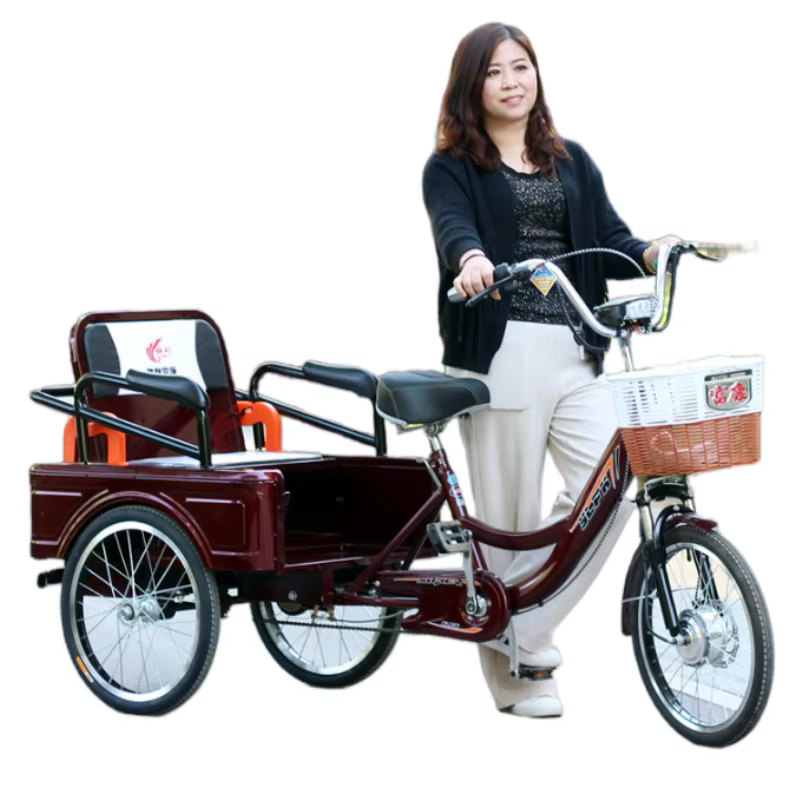 Vélo cargo électrique à trois roues pour adultes
