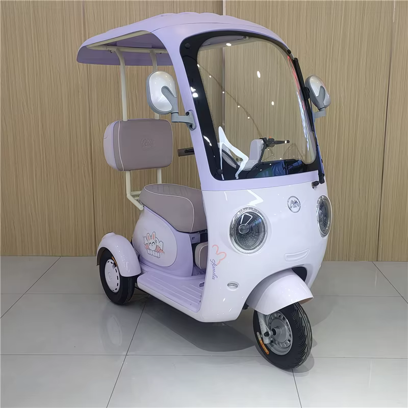 Tricycle électrique de loisirs à 3 roues 60V
