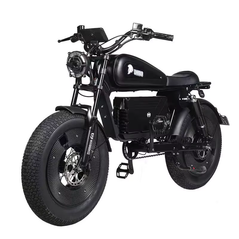 HimPain-Vélo électrique Smile 73