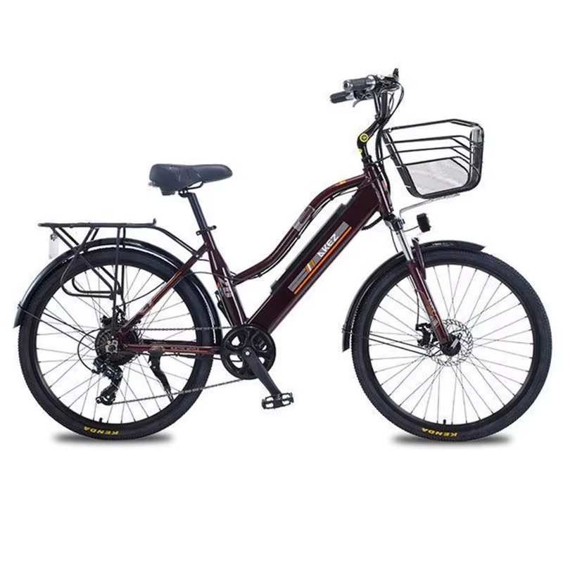 Vélo électrique adulte 2 places 26 pouces 350W 36V