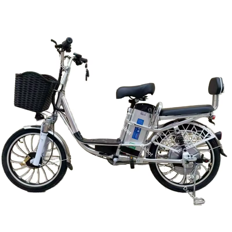 Vélos électriques pour adultes