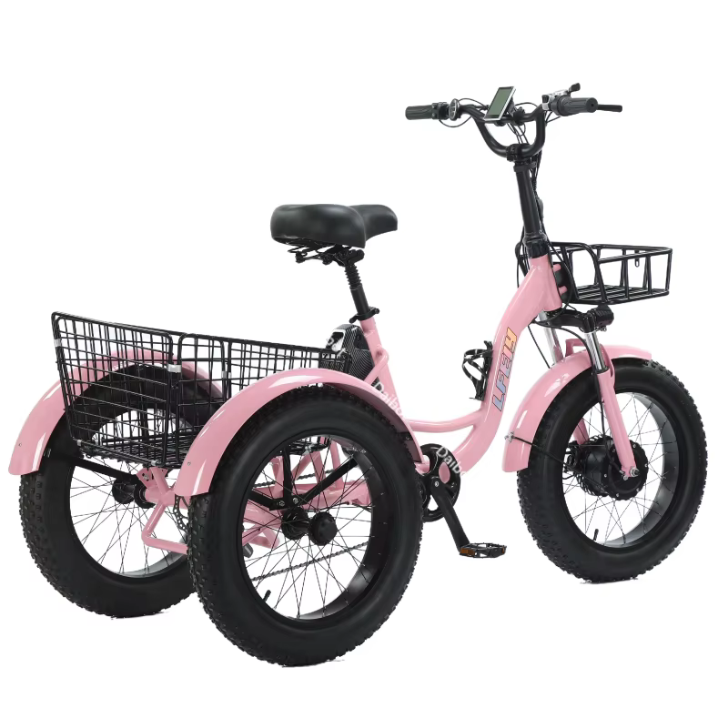 Nouveau 3 roues gros pneu adulte vélo électrique femmes ville 500W 20 pouces famille Cargo Tricycle