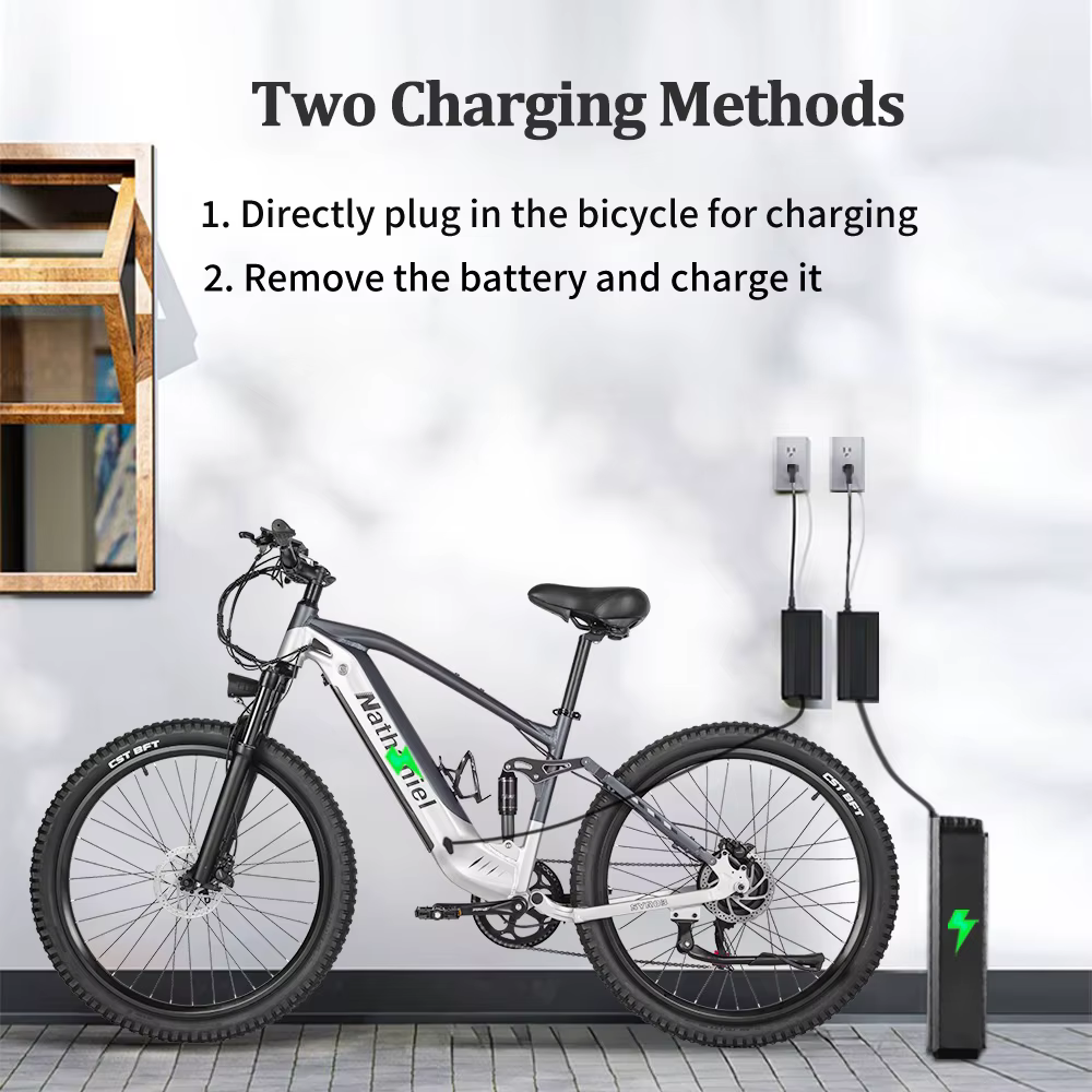 Vélo électrique 1000W 48V 20AH