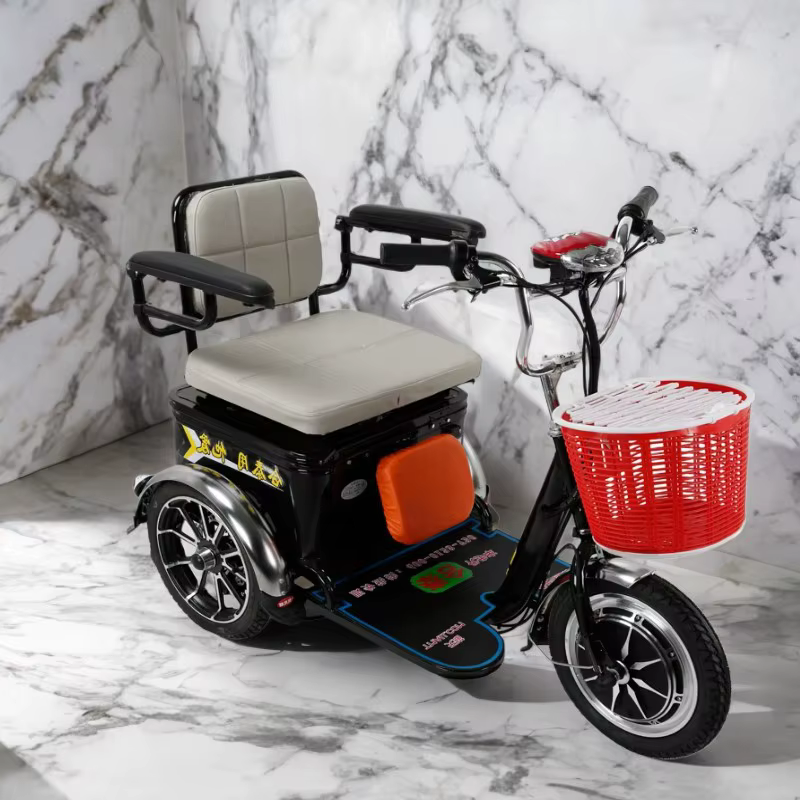 Scooter électrique à 3 roues 350W 48V