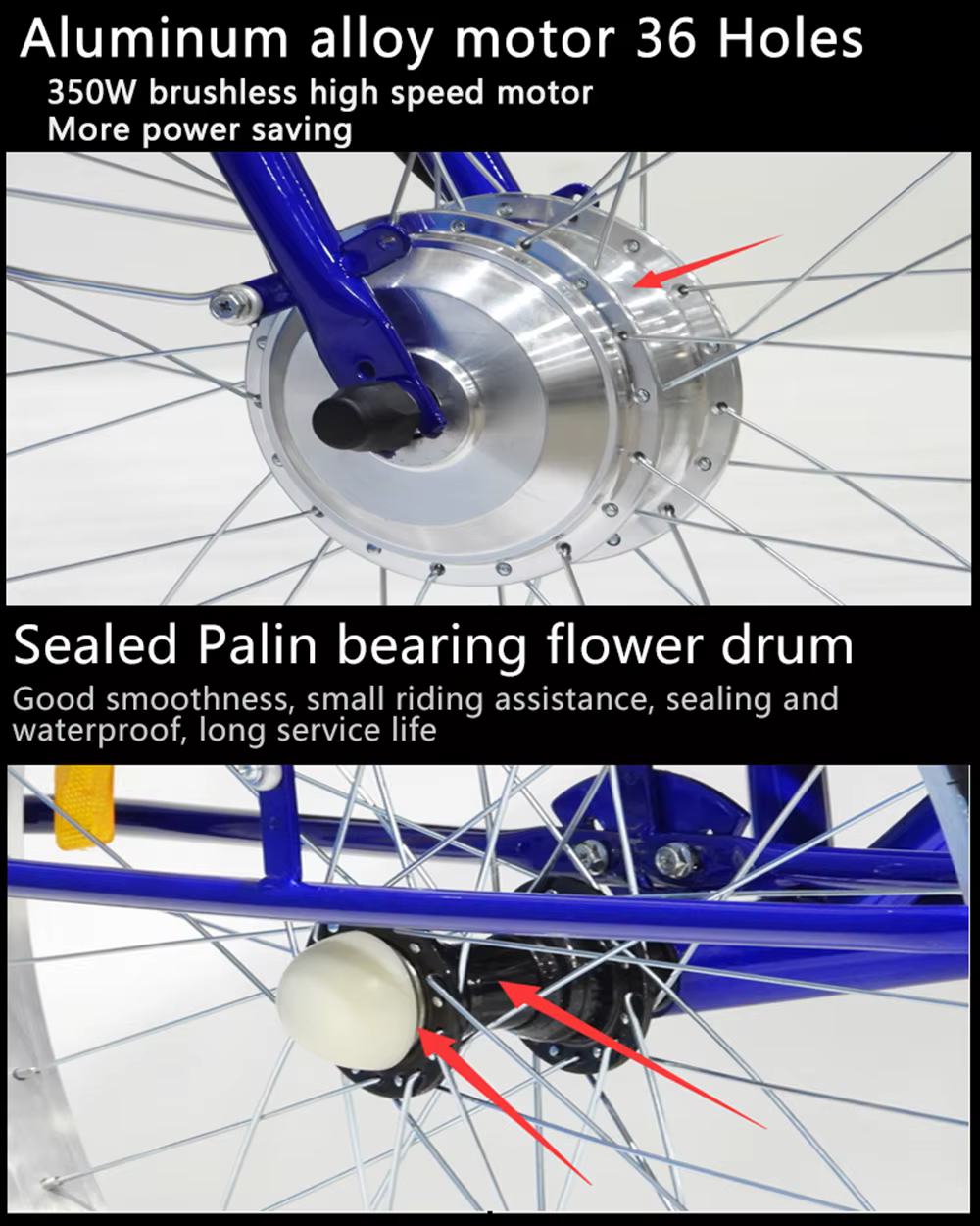 Vélo électrique à trois roues 36V 24 pouces