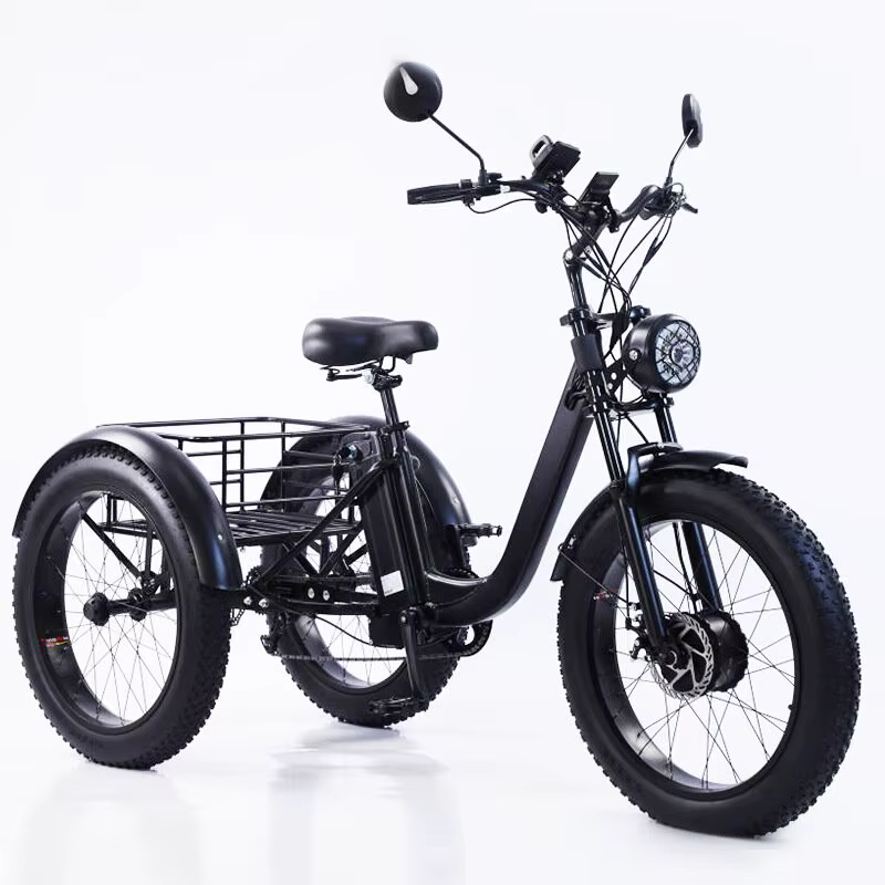 Vélo électrique 24 pouces pour homme et femme