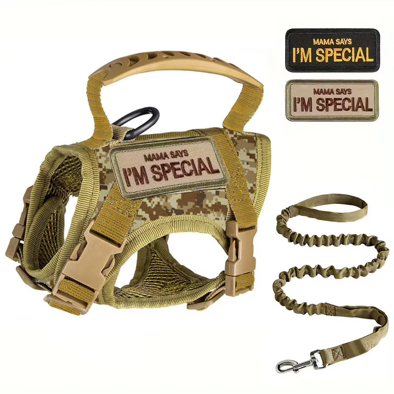 Gilet militaire tactique pour animaux de compagnie, accessoires d'entraînement tactique pour chat, ensemble harnais et laisse pour chien et chat, accessoires pour chaton