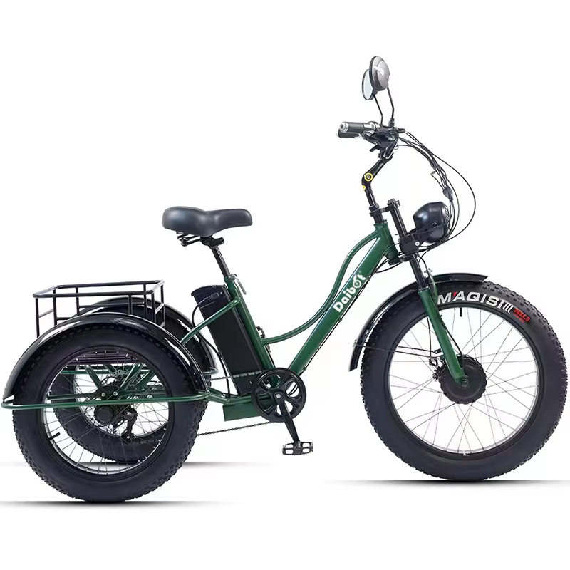 24 pouces gros pneu puissant vélo électrique pour hommes 750w Cargo Tricycle
