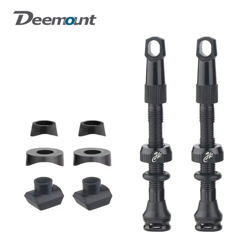 Valve de pneu Tubeless de vélo