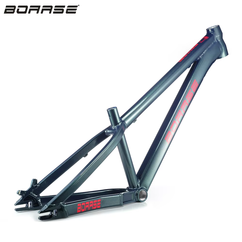 Boarse-Cadre VTT pour diabétique