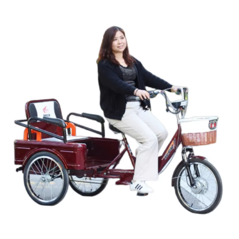Tricycle Électrique avec Siège Passager pour Adulte