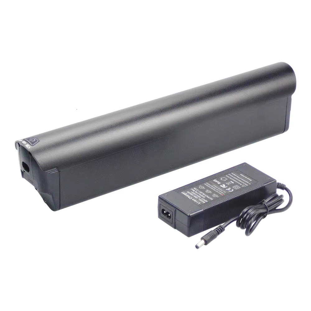 Jasion Roamer-Batterie de rechange pour vélo électrique avec chargeur