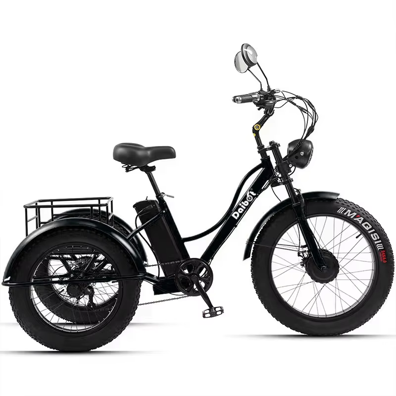 Vélo électrique adulte gros pneu montagne pour homme 48V 750W Tricycle