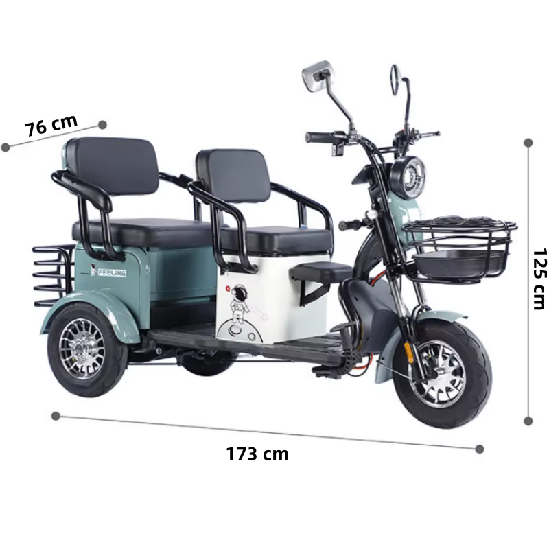 Tricycle électrique 48V/60V