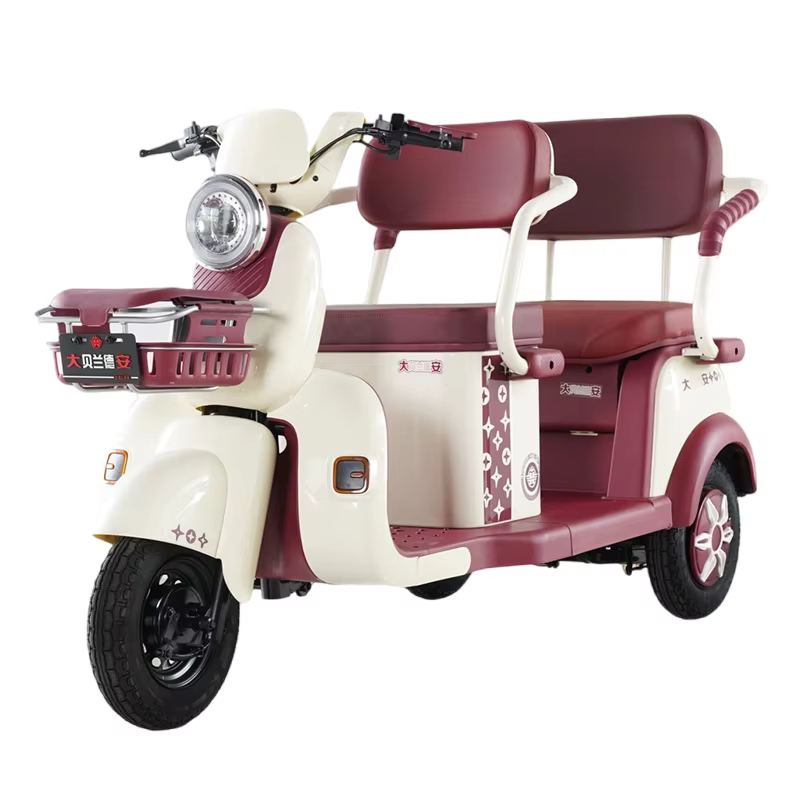 Tricycle électrique 60V