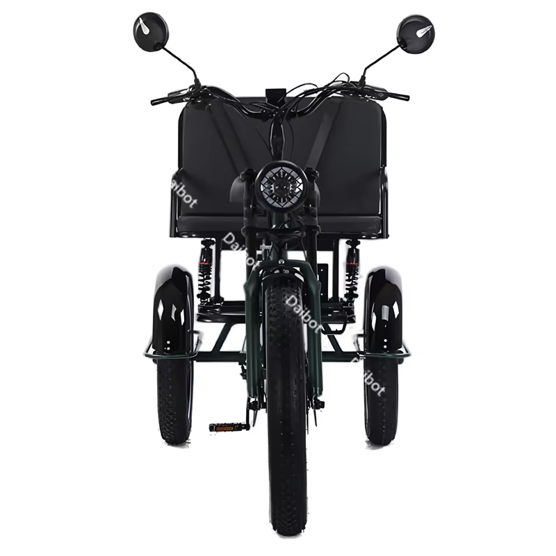 Tricycle électrique gros pneu pour adultes avec siège arrière/ceinture de sécurité 750W puissant vélo