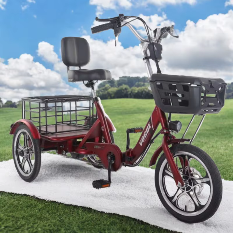 400W adulte Cargo vélo électrique nouveau Tricycle