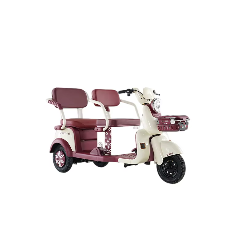 Tricycle électrique 60V